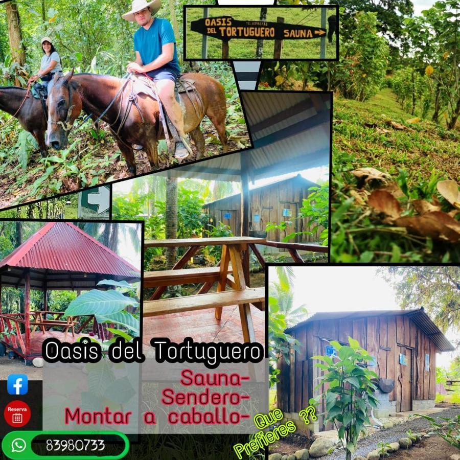 Oasis Del Tortuguero Villa Cariari  Bagian luar foto