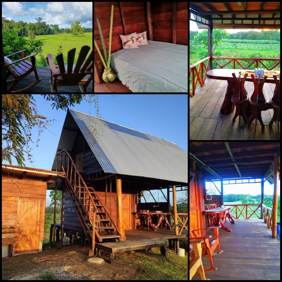 Oasis Del Tortuguero Villa Cariari  Bagian luar foto