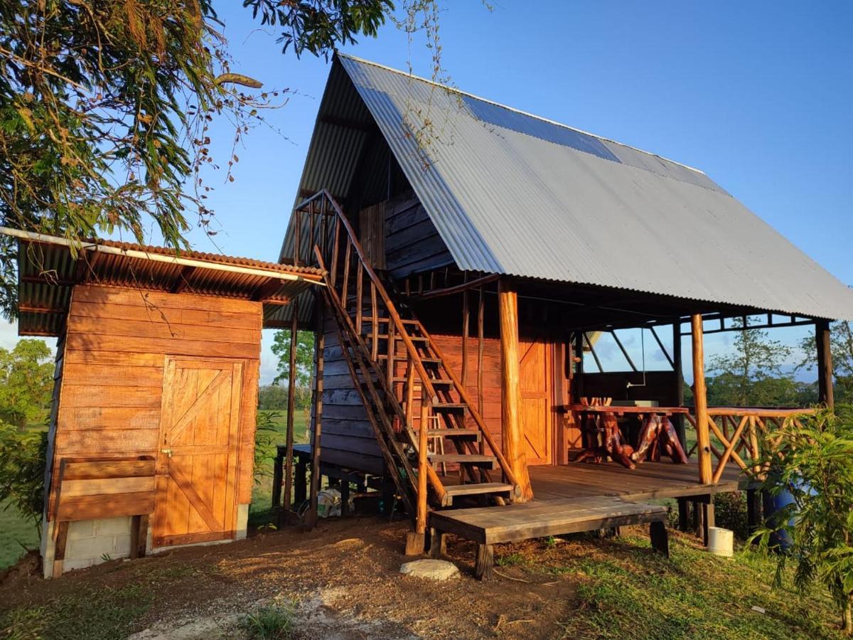 Oasis Del Tortuguero Villa Cariari  Bagian luar foto