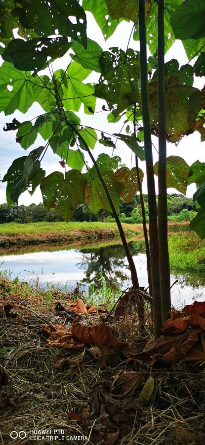 Oasis Del Tortuguero Villa Cariari  Bagian luar foto