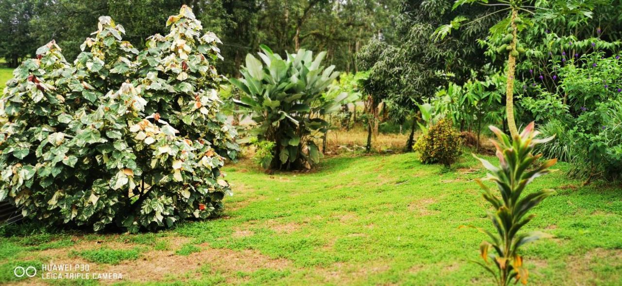 Oasis Del Tortuguero Villa Cariari  Bagian luar foto