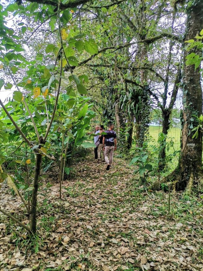 Oasis Del Tortuguero Villa Cariari  Bagian luar foto