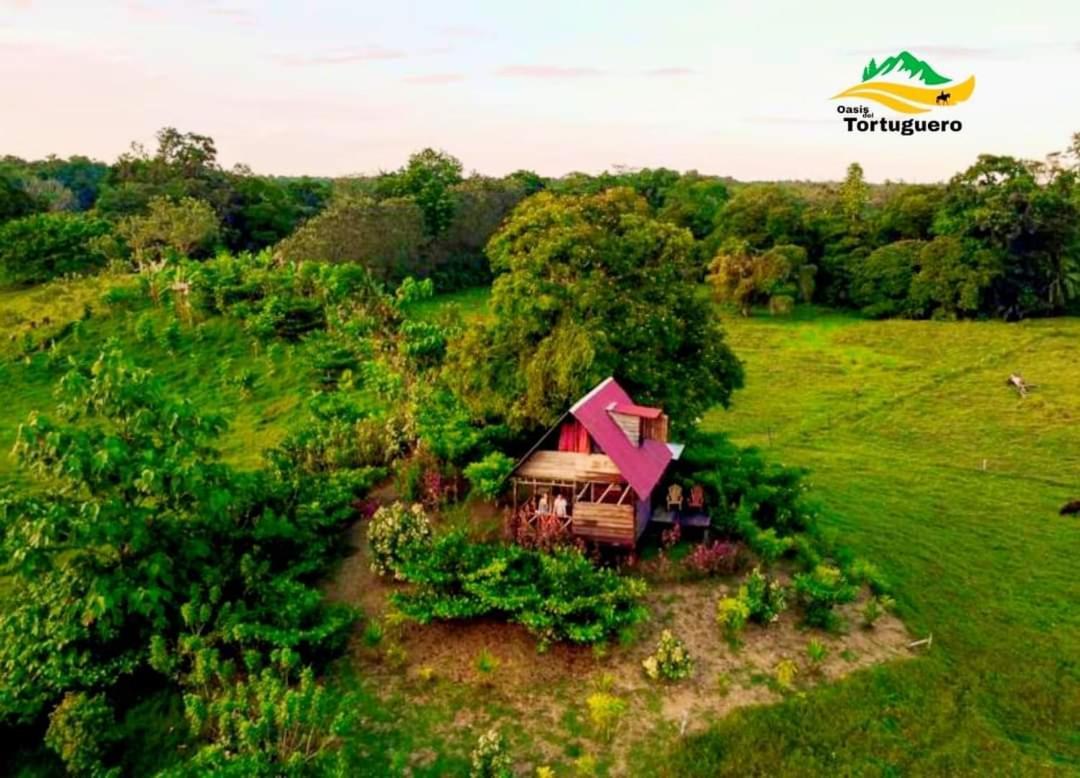 Oasis Del Tortuguero Villa Cariari  Bagian luar foto