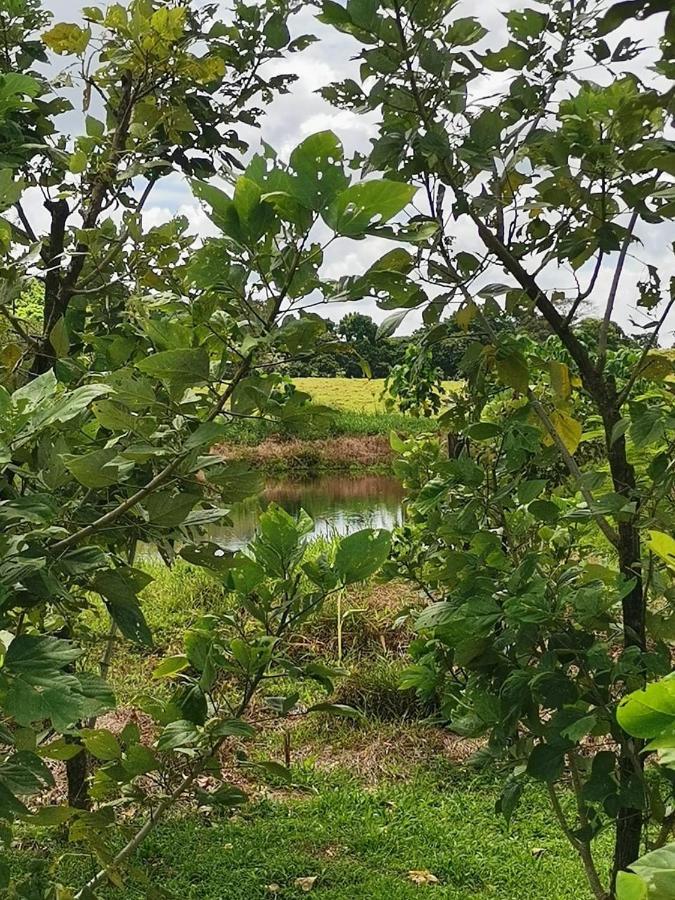 Oasis Del Tortuguero Villa Cariari  Bagian luar foto