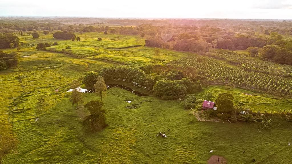 Oasis Del Tortuguero Villa Cariari  Bagian luar foto