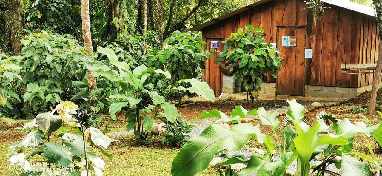 Oasis Del Tortuguero Villa Cariari  Bagian luar foto