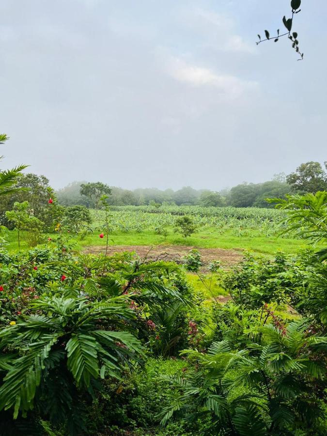 Oasis Del Tortuguero Villa Cariari  Bagian luar foto